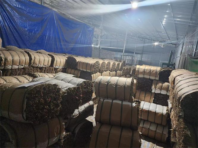 粽葉.jpg 粽葉.jpg