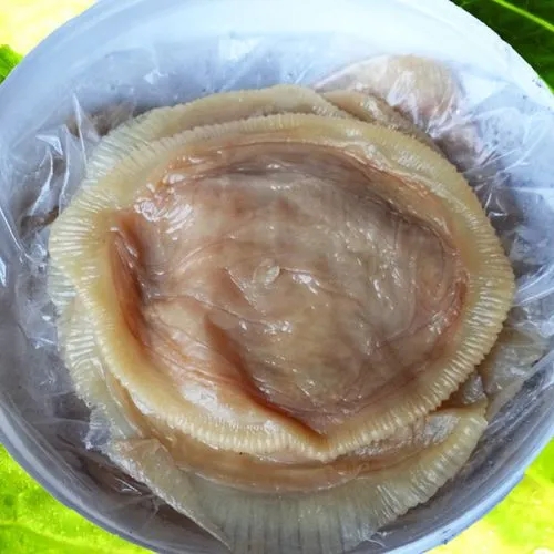 d8b83aec810a646283faec0a5255ab8.jpg d8b83aec810a646283faec0a5255ab8.jpg