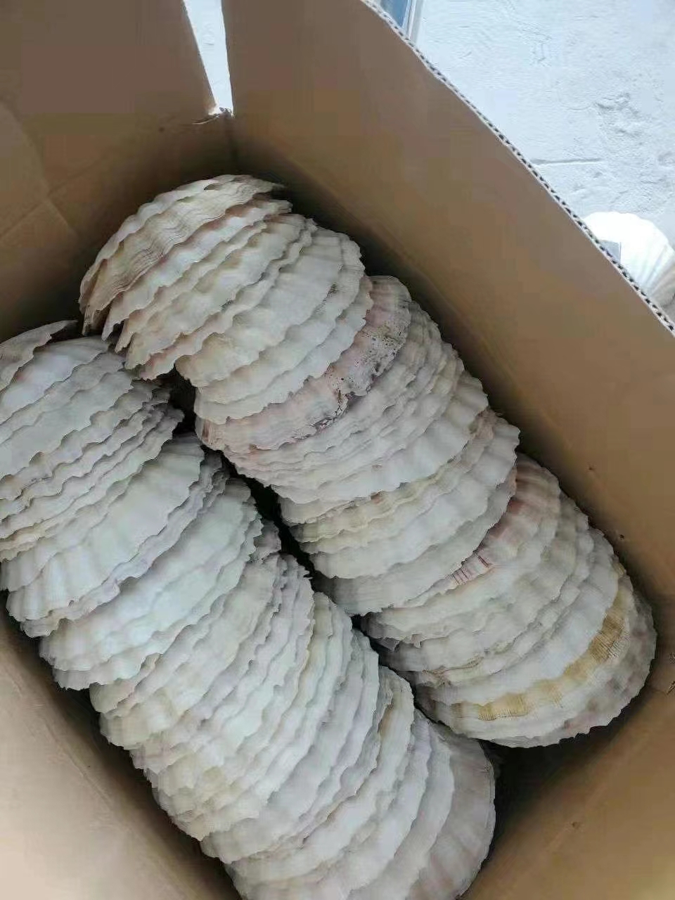 c2d6543363eb7e924a6fd82cfe67d74.jpg c2d6543363eb7e924a6fd82cfe67d74.jpg