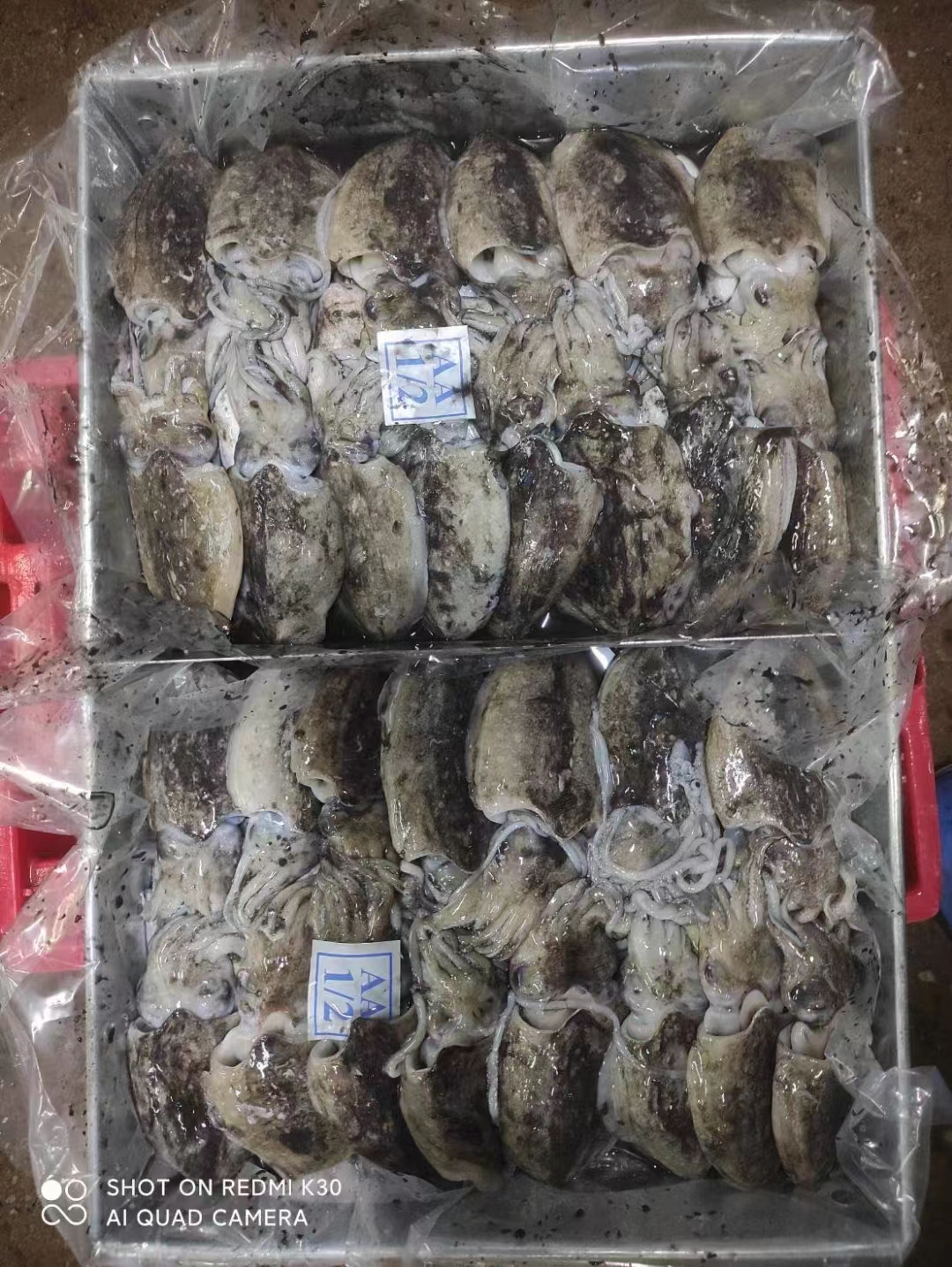 42376a8341e89b5fce2f327d16a9032.jpg 42376a8341e89b5fce2f327d16a9032.jpg