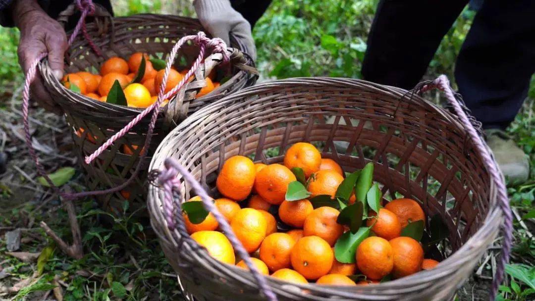 4ec50c59eaf0586e62c26668a86b1c4.jpg 4ec50c59eaf0586e62c26668a86b1c4.jpg