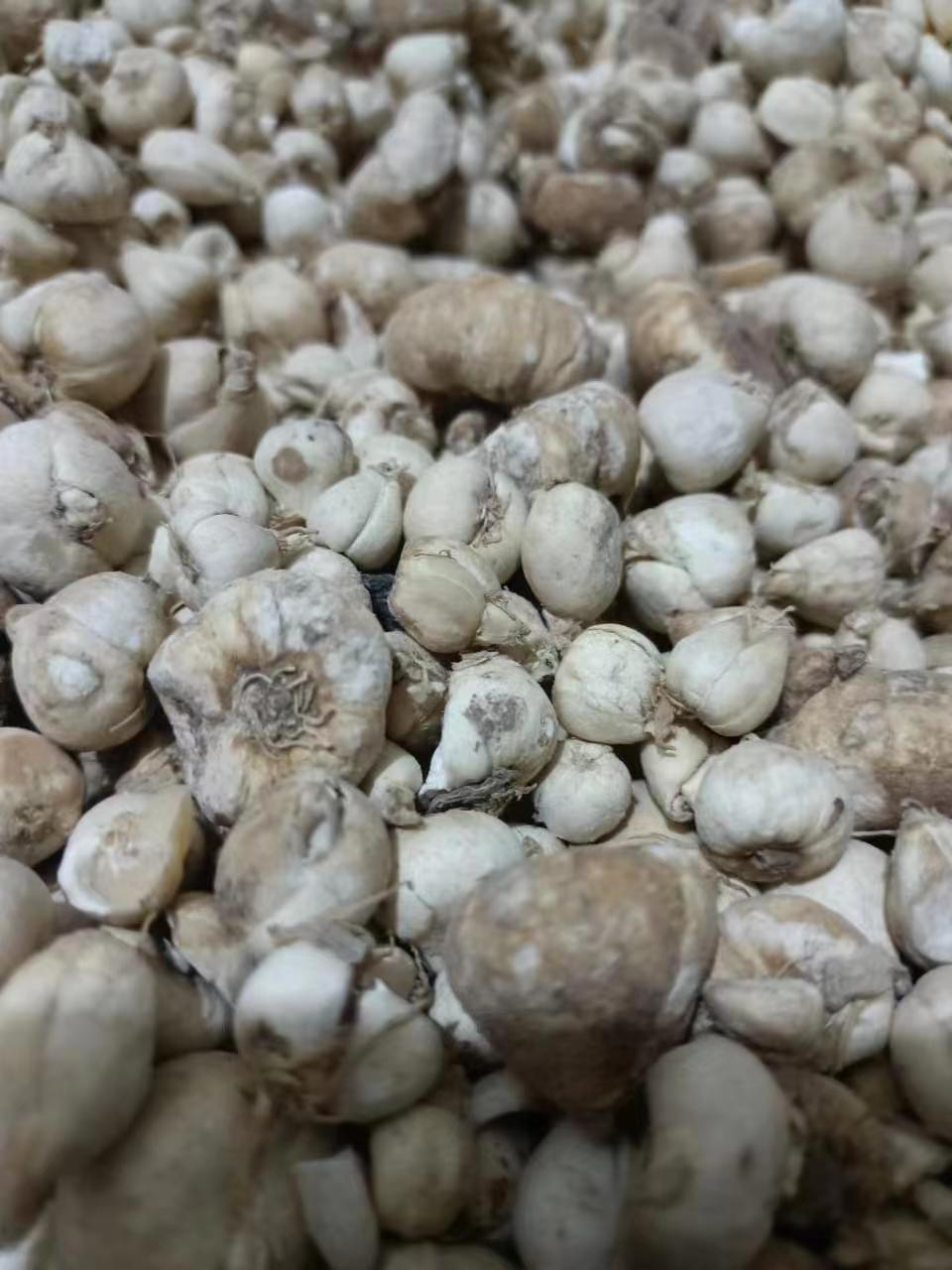 96da2cf7b45591063826480b0991f5c.jpg 96da2cf7b45591063826480b0991f5c.jpg