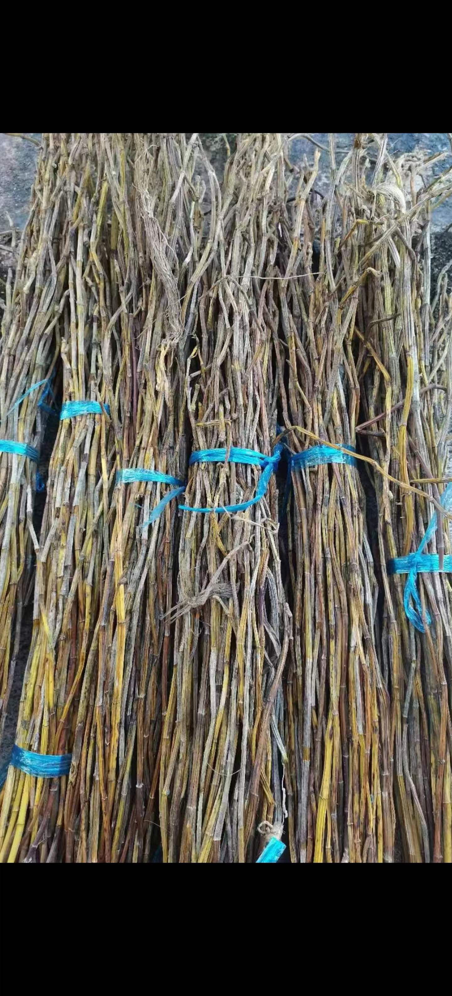 ffd6dbcc59f3a04eb110117e08616ff.jpg ffd6dbcc59f3a04eb110117e08616ff.jpg