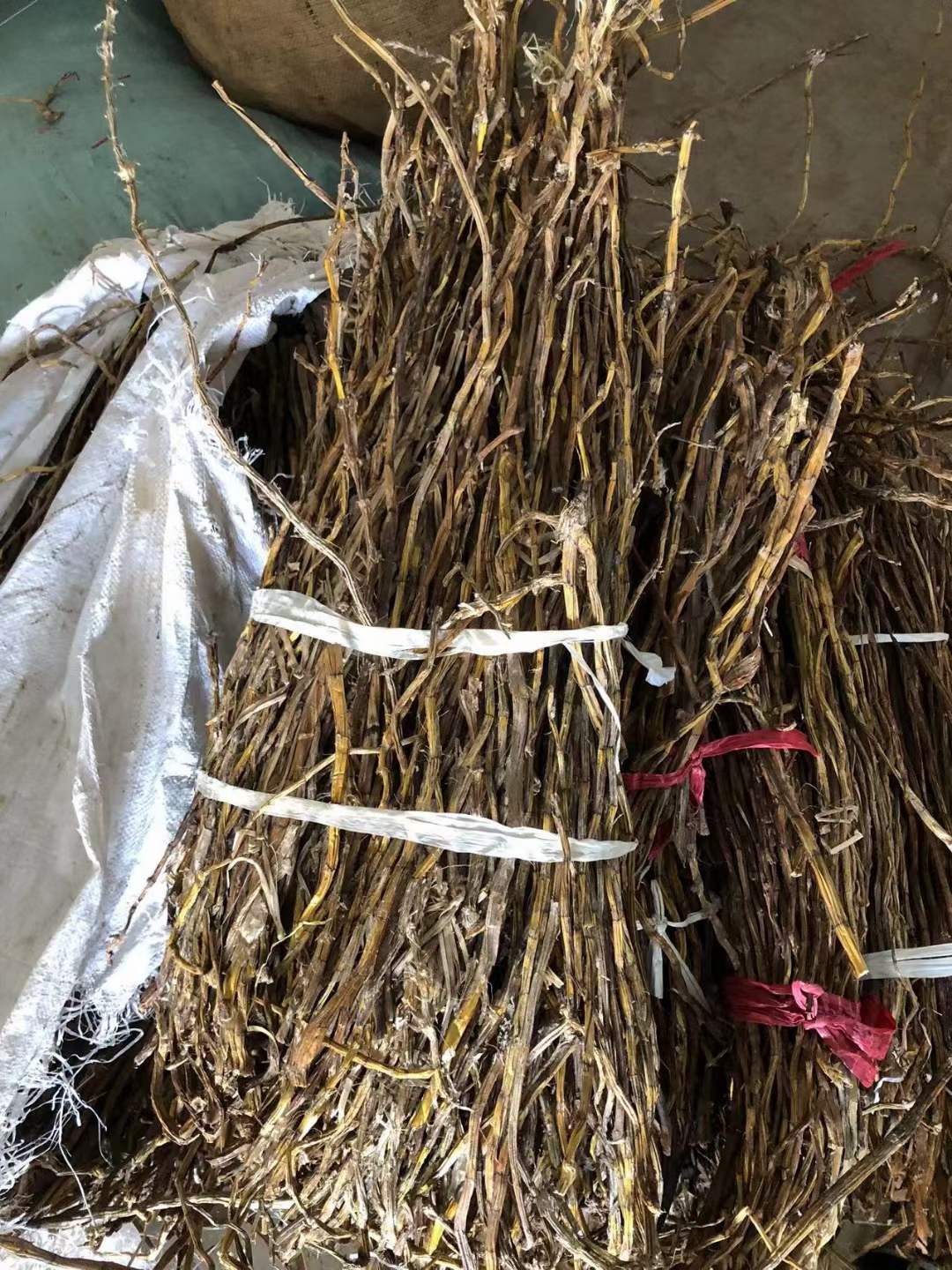 99a96b7f181b0c1a92af6377f4575a7.jpg 99a96b7f181b0c1a92af6377f4575a7.jpg