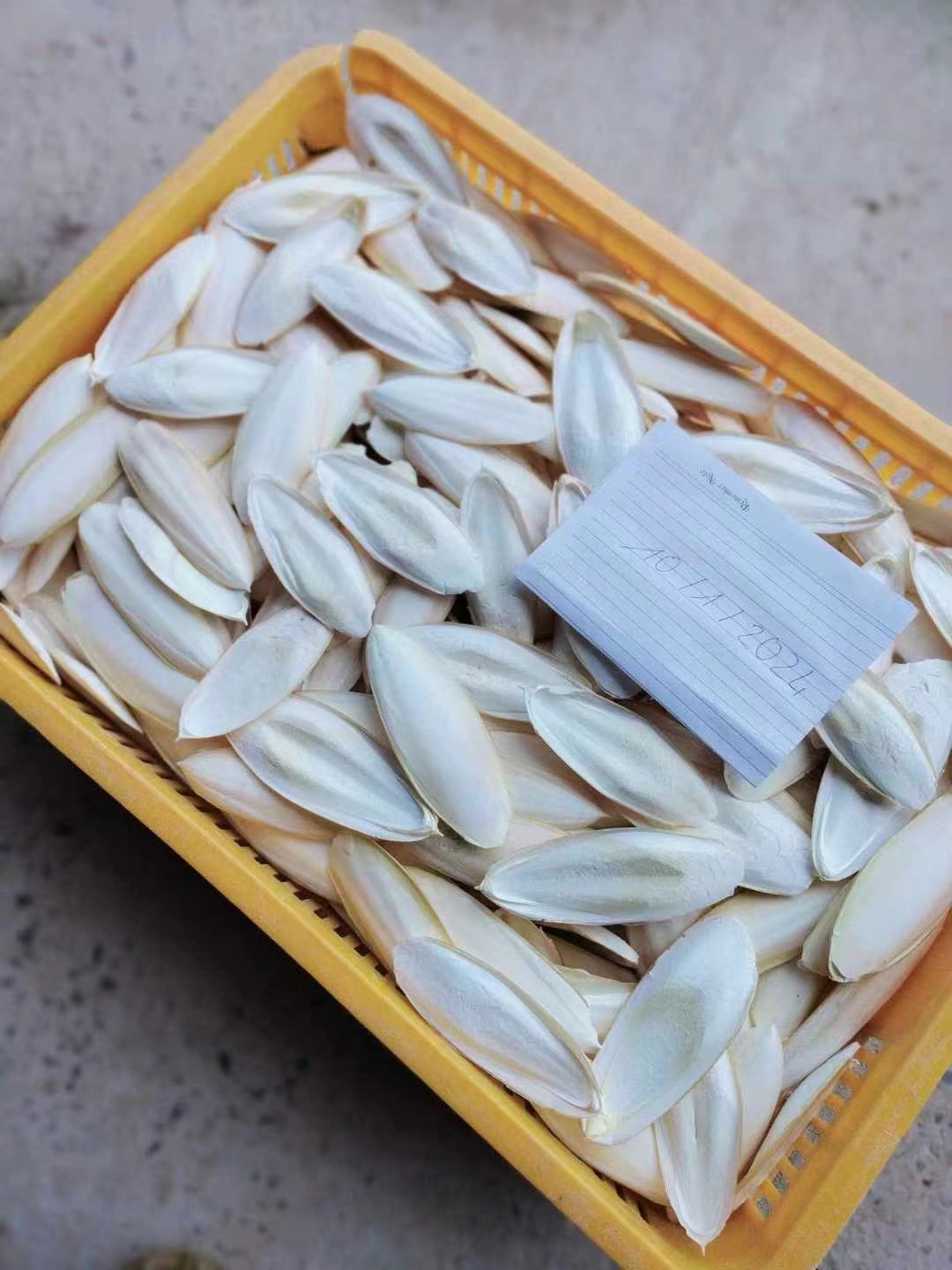 03d9ebb1320ed9321ec4cf4b103c978.jpg 03d9ebb1320ed9321ec4cf4b103c978.jpg