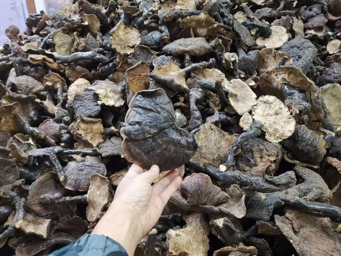 9b1c45e880b81a662d45b0d50c1c63f.jpg 9b1c45e880b81a662d45b0d50c1c63f.jpg