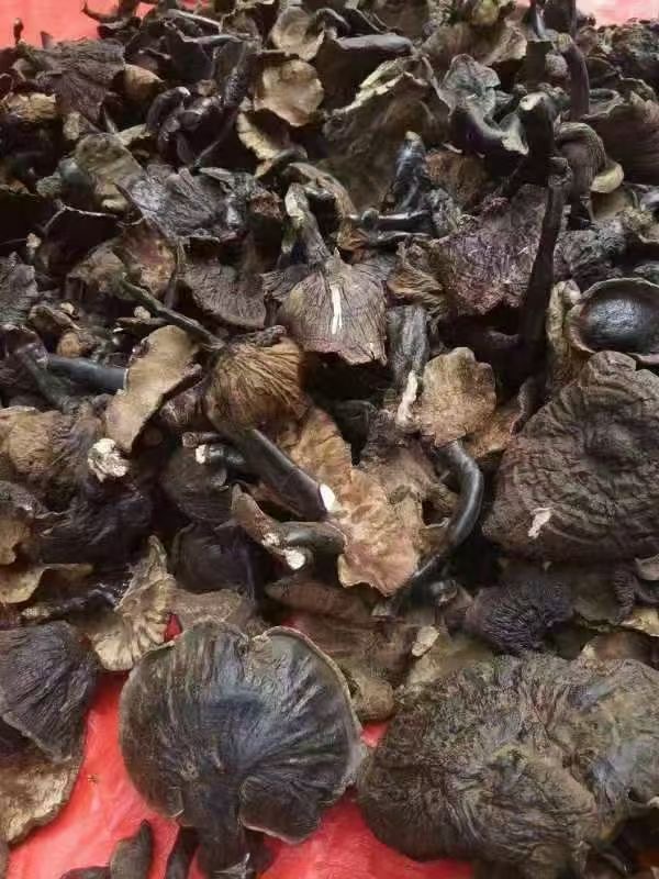 d86903b40b373c9696df63188b6eba2.jpg d86903b40b373c9696df63188b6eba2.jpg